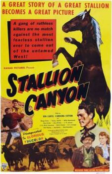 Stallion Canyon (1949)