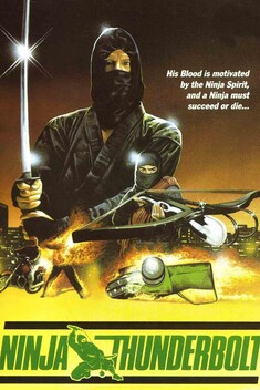 Ninja Thunderbolt (1984)