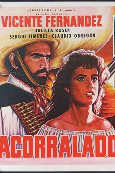Acorralado (1984)