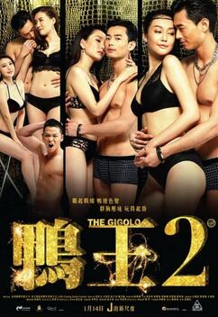 The Gigolo 2 (2016)