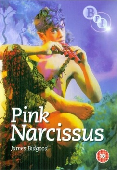 Pink Narcissus (1971)