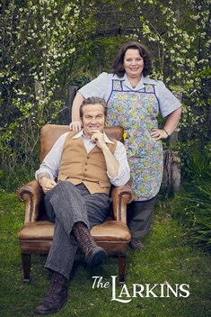 The Larkins (2021-)