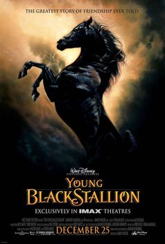 Young Black Stallion (2003)