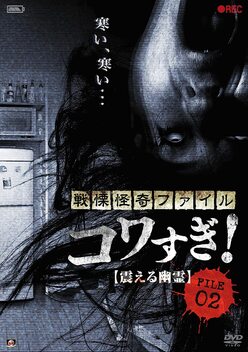 Senritsu Kaiki File Kowasugi File 02: Shivering Ghost (2012)