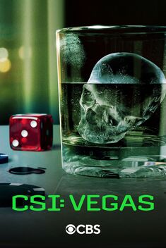 CSI: Vegas (2021-2024)