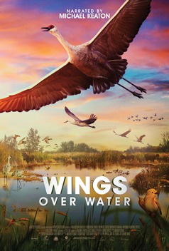 Wings Over Water (2022)