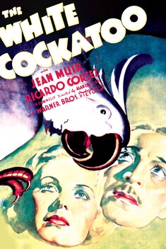 The White Cockatoo (1935)