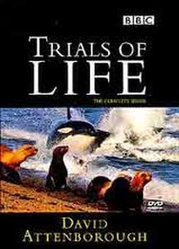 Trials of Life (1990)