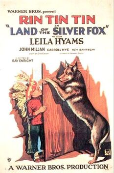 Land of the Silver Fox (1928)