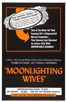 Moonlighting Wives (1966)