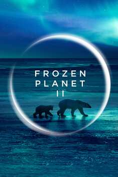 Frozen Planet II (2022)