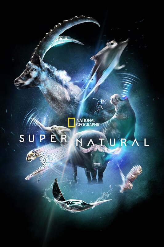 Super/Natural (2022 - )