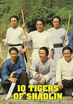 10 Tigers of Shaolin (1978)