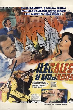 Llegales Y Mojados (1980)