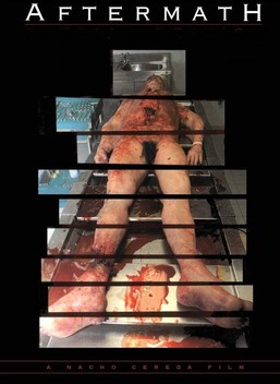 Aftermath (1994)