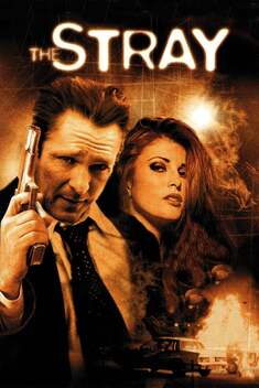 The Stray (2000)