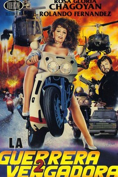La Vengadora 2 (1991)