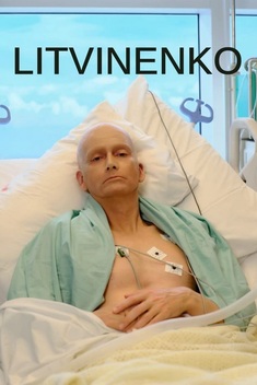 Litvinenko (2022)