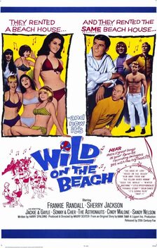Wild on the Beach (1965)