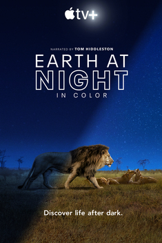 Earth at Night in Color (2020)