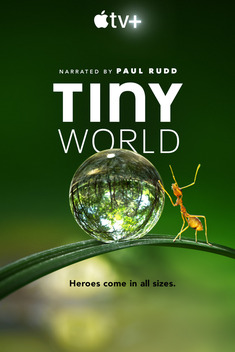 Tiny World (2020-)