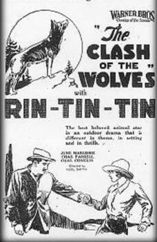 Clash of the Wolves (1925)