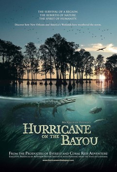 Hurricane on the Bayou (2007)