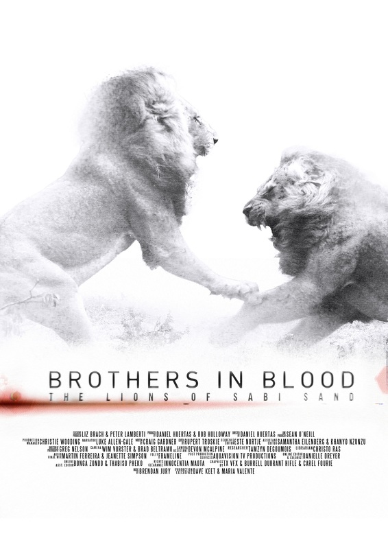 Brothers in Blood: The Lions of Sabi Sand (2015)