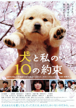 10 Promises to My Dog (2008)