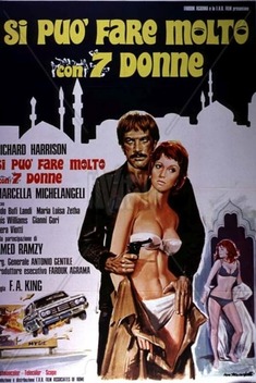 You Can Do a Lot with 7 Women (1972)