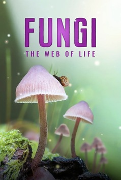 Fungi: The Web of Life (2023)