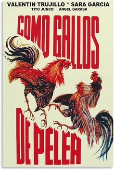 Como Gallos de Pelea (1977)