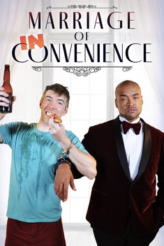 Marriage of Inconvenience (2023-)