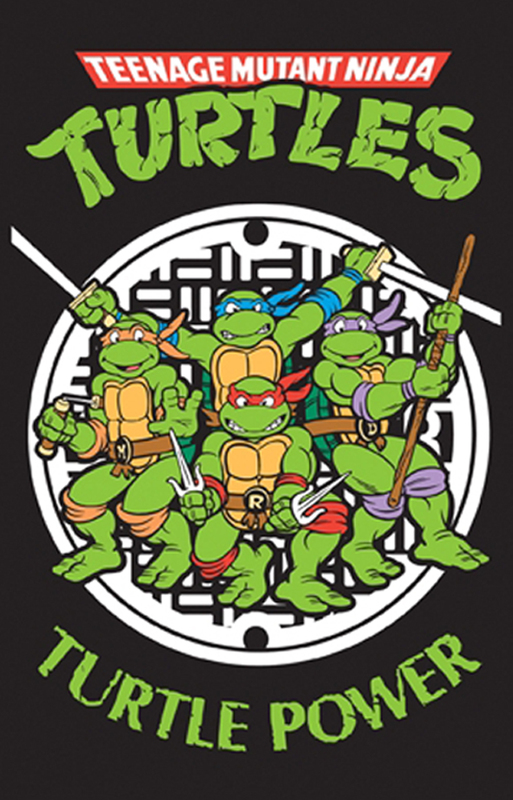 Teenage Mutant Ninja Turtles (1987 - 1996)