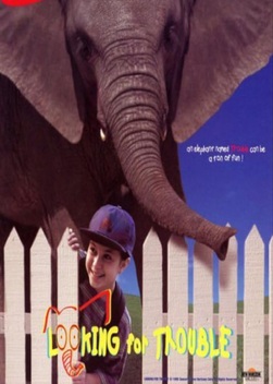 Looking for Trouble (1996)
