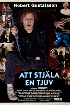 Att stj�la en tjuv (1996)