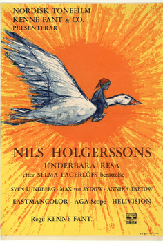 Wonderful Adventures of Nils (1962)