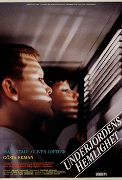Underground Secrets (1991)