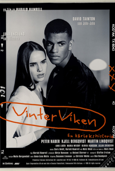 Winter Bay (1996)