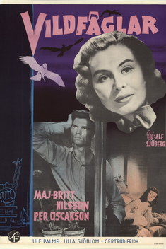 Wild Birds (1955)