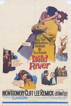 Wild River (1960)