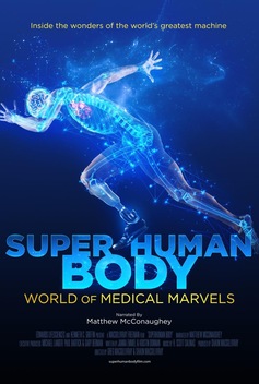 Superhuman Body: World of Medical Marvels (2024)