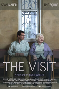 The Visit (2016)