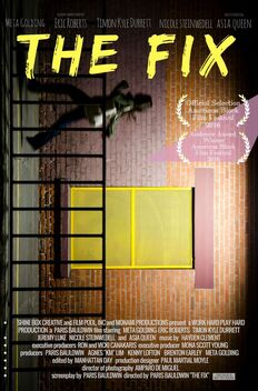 The Fix (2017)
