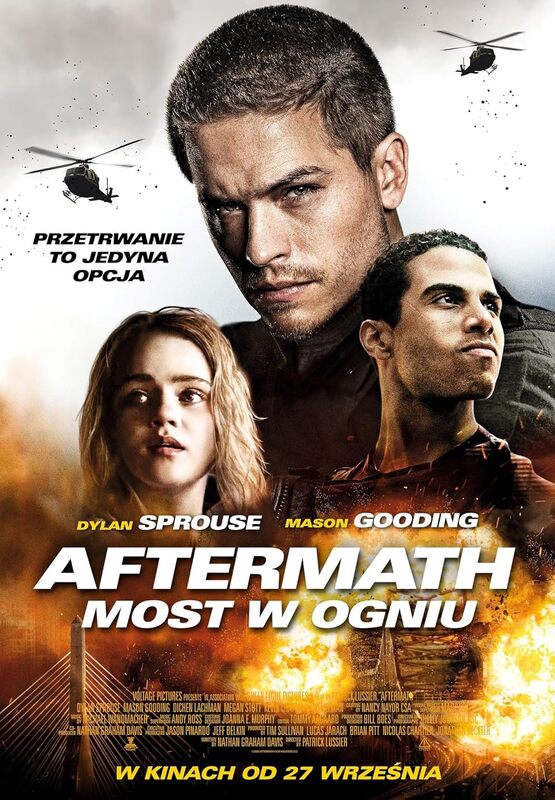 アフターマス('16米)【Blu-ray】 Aftermath (2024)