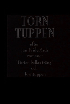 Torntuppen (1996)