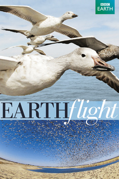 Earthflight (2011-2012)