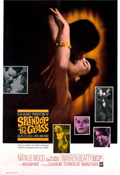 Splendor in the Grass (1961)