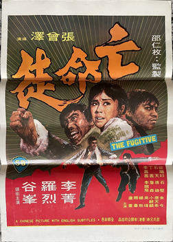 The Fugitive (1972)