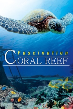 Fascination Coral Reef 3D (2011)